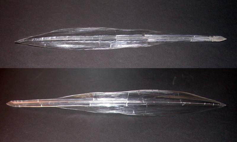 Loligo vulgaris
